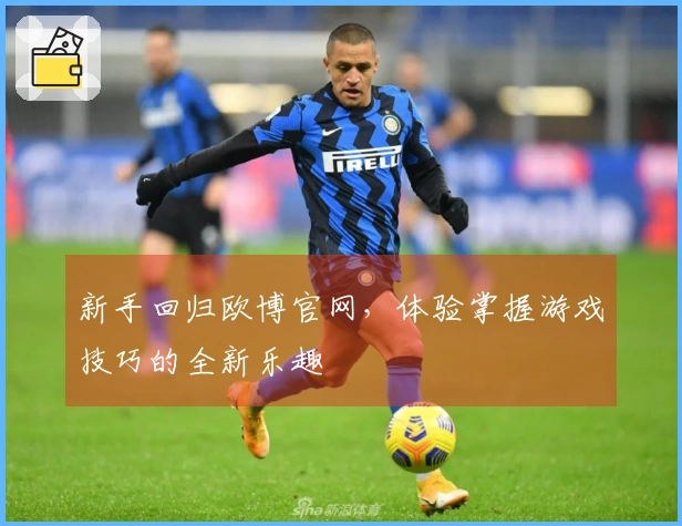 新手回归欧博官网，体验掌握游戏技巧的全新乐趣